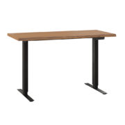 Adona Adjustable Standing Desk